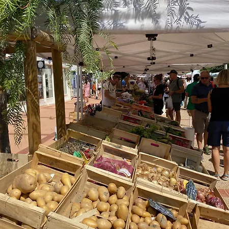 à Port Leucate, Animaux Admis, Parking, 4 Pers. - Fr-1-798-63 Leucate
