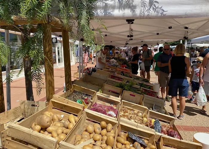 à Port Leucate, Animaux Admis, Parking, 4 Pers. - Fr-1-798-63 Leucate