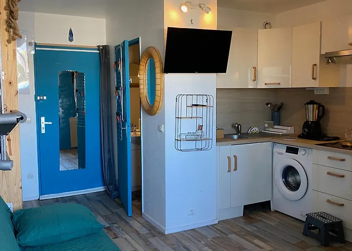 à Port Leucate, Animaux Admis, Parking, 4 Pers. - Fr-1-798-63 Appartamento Leucate